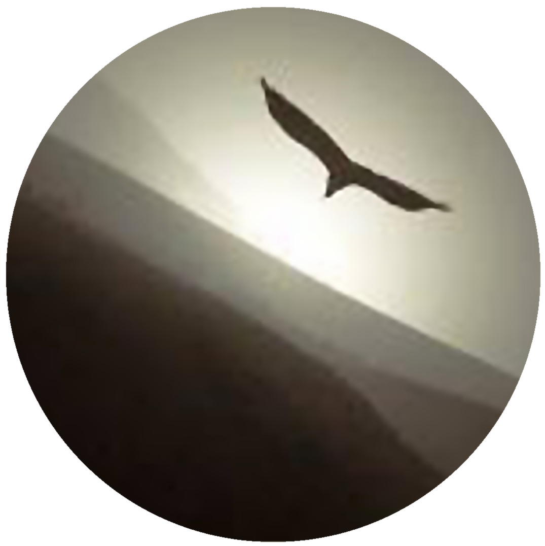 DareioS : 